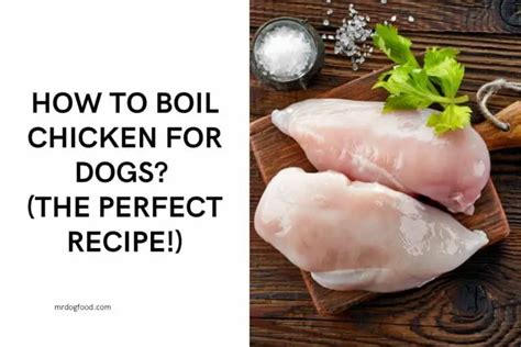 How to cook chicken for dogs. Things To Know About How to cook chicken for dogs. 